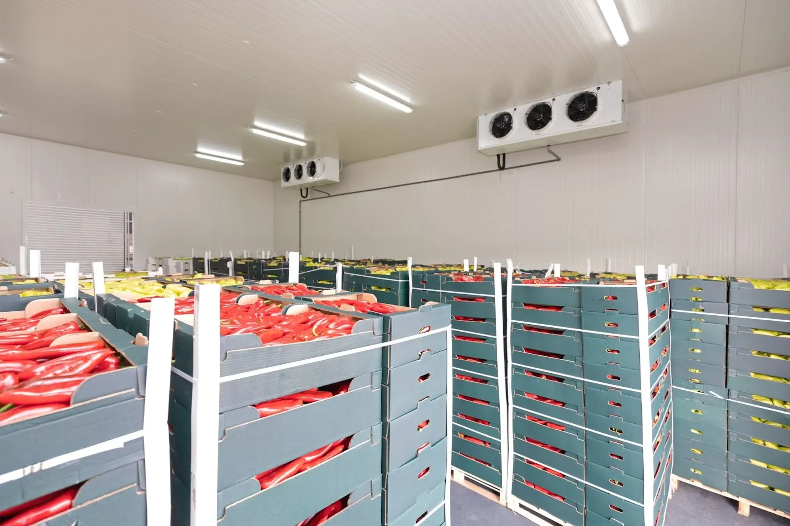 Cold Room & Depot Storage Temperature Logger